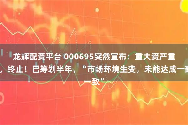 龙辉配资平台 000695突然宣布：重大资产重组，终止！已筹划半年，“市场环境生变，未能达成一致”