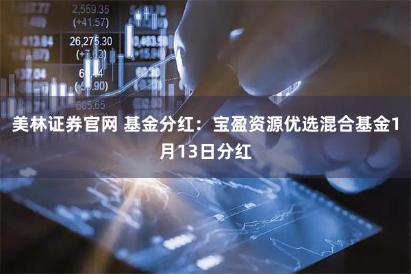 美林证券官网 基金分红：宝盈资源优选混合基金1月13日分红