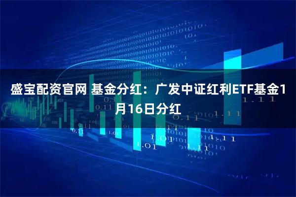 盛宝配资官网 基金分红：广发中证红利ETF基金1月16日分红