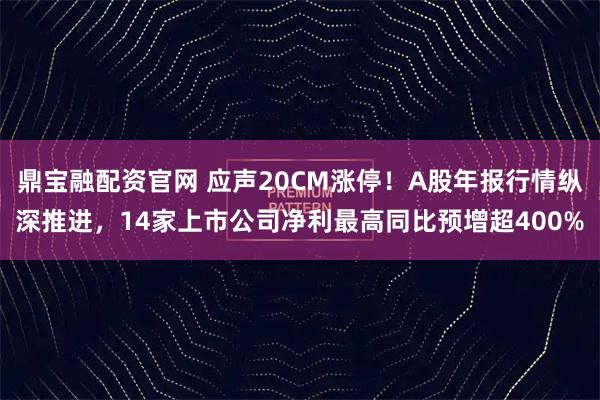 鼎宝融配资官网 应声20CM涨停！A股年报行情纵深推进，14家上市公司净利最高同比预增超400%